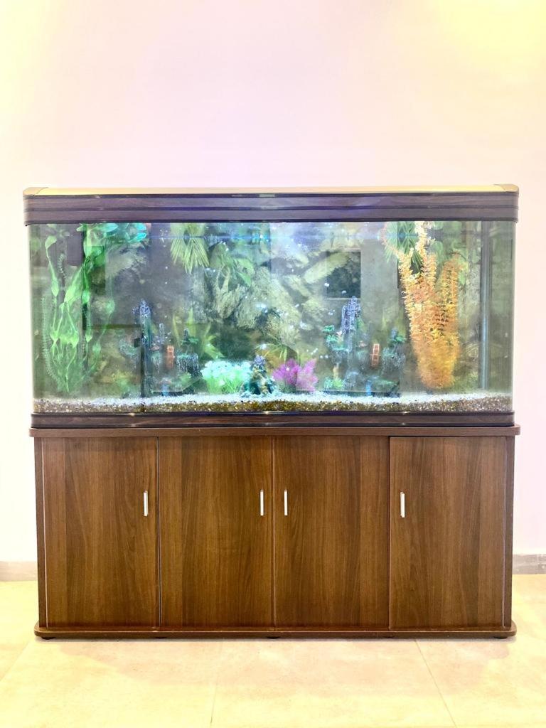 Luxury Suites Chester One 达喀尔 外观 照片